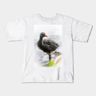 Dusky Moorhen Chick Kids T-Shirt